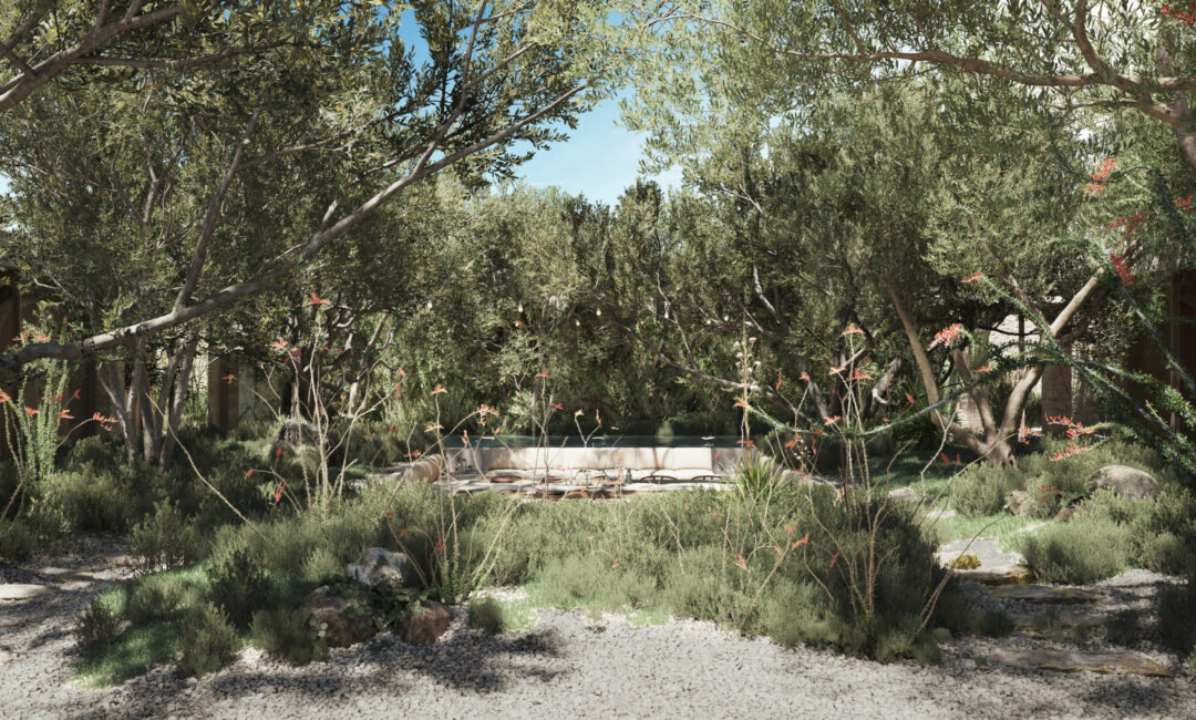 PATIO_PARQUE26